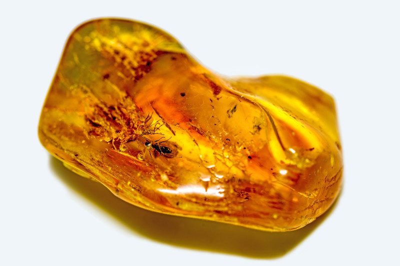 Amber gemstone with an insect inside